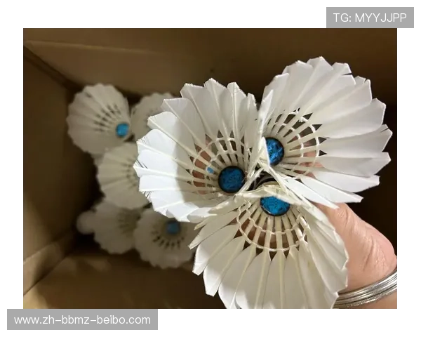 羽毛球易断